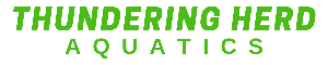 Thundering Herd Aquatics